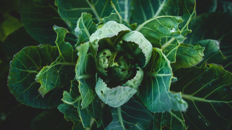 Kuva: Jonathan Kemper / Unsplash.